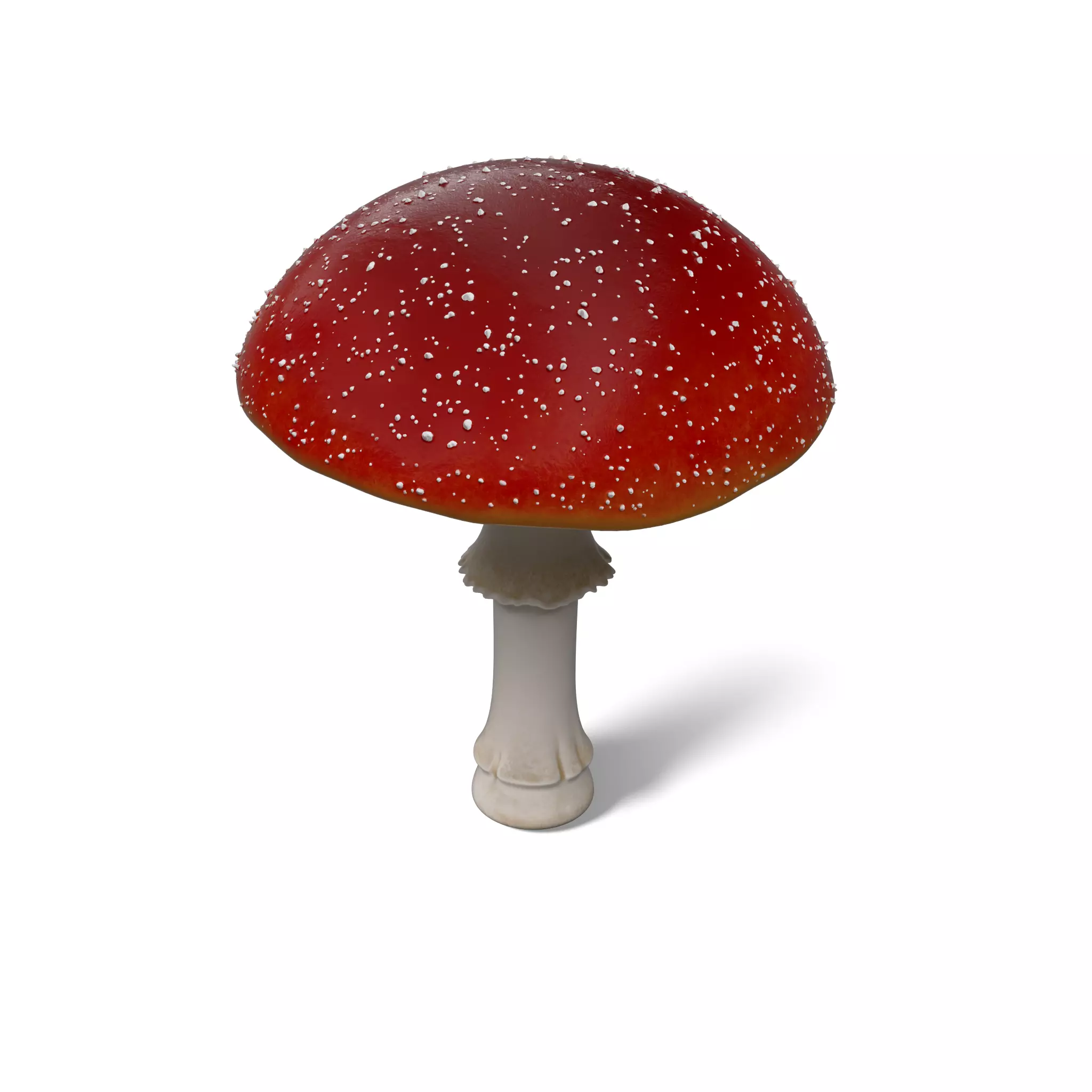 Mushroom Amanita Muscaria Low-poly 3D model