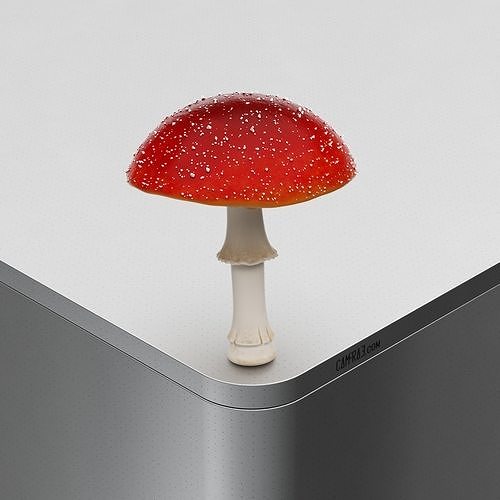 Mushroom Amanita muscaria Low-poly 3D model