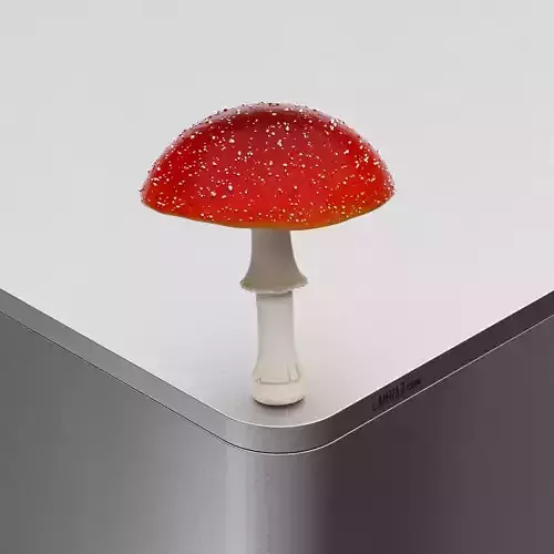 Mushroom Amanita muscaria