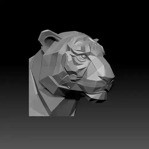 Tiger Head