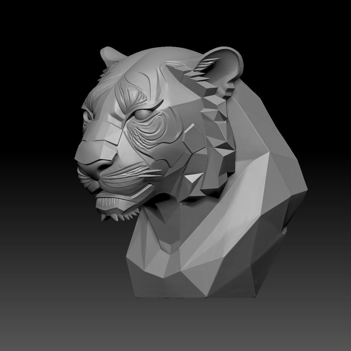Tiger Head 3D model_3