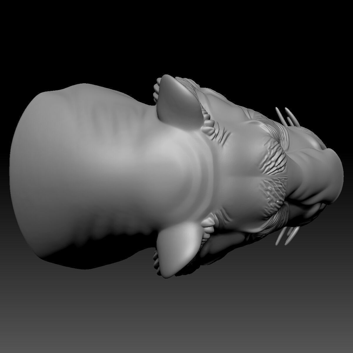 Tiger Head 3D model_6