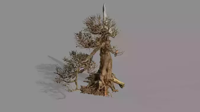 Dead Chimney Bonsai Tree X8 Low Poly 3D Model Low-poly 3D model