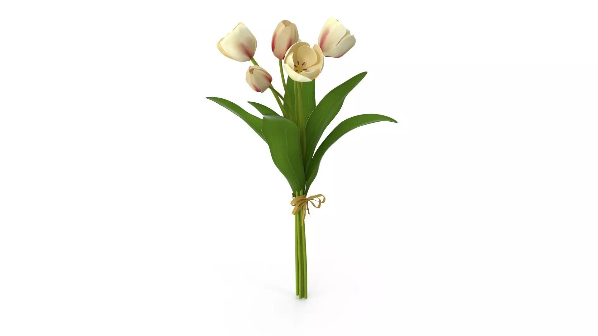 Plum Tulip Bundle 3D model_0