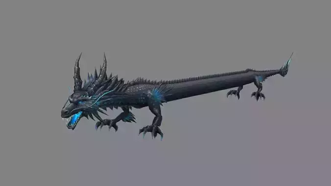 Black Dragon - Loong