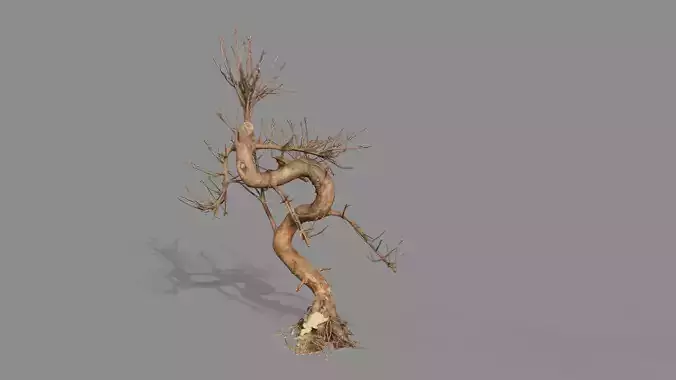 Dead Chimney Bonsai Tree X7 Low Poly 3D Model Low-poly 3D model