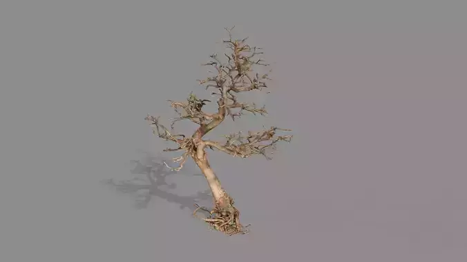 Dead Chimney Bonsai Tree X4 Low Poly 3D Model Low-poly 3D model