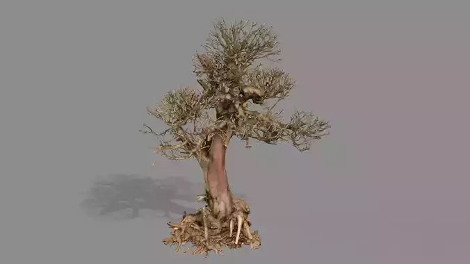 Dead Chimney Bonsai Tree X2 Low Poly 3D Model Low-poly 3D model