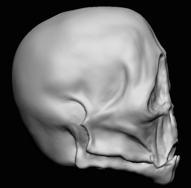 Givin Head Sculpt - Star Wars Head Sculpt - 3D Print File STL 3D print model_8