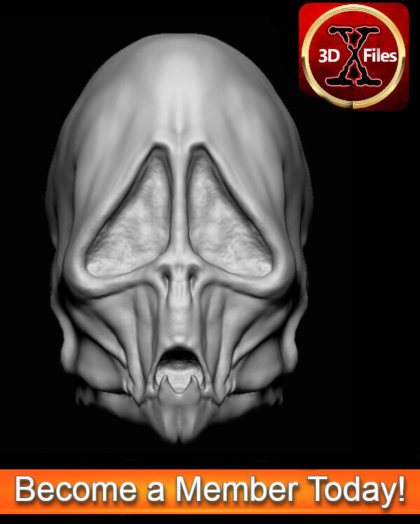 Givin Head Sculpt - Star Wars Head Sculpt - 3D Print File STL 3D print model_4