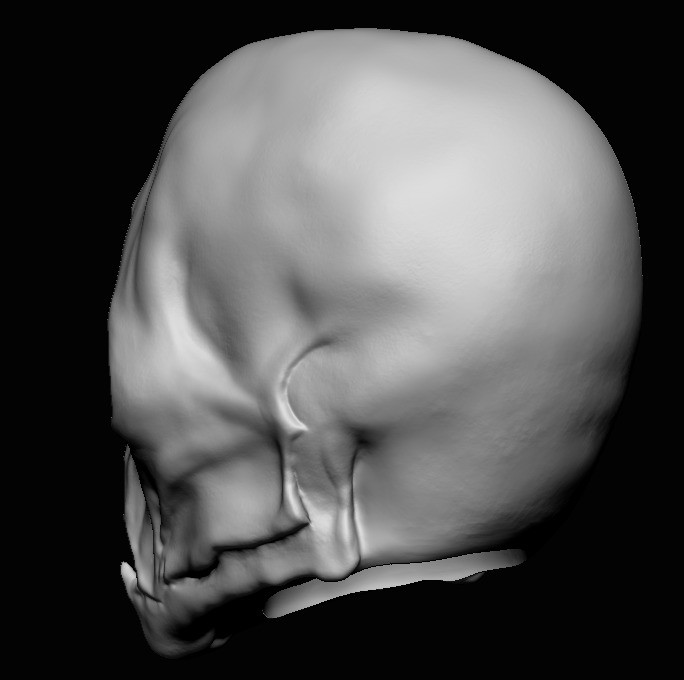 Givin Head Sculpt - Star Wars Head Sculpt - 3D Print File STL 3D print model_6