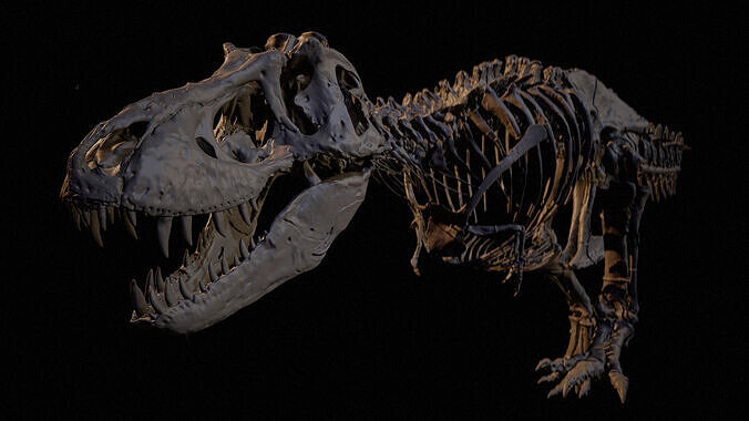 Realistic T-Rex Skeleton Scan High-Quality Fossil 3D Model 3D print model