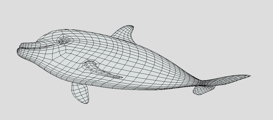 Low Poly Baby Dolphin  Low-poly 3D model_2