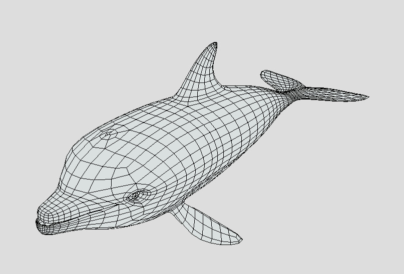Low Poly Baby Dolphin  Low-poly 3D model_3