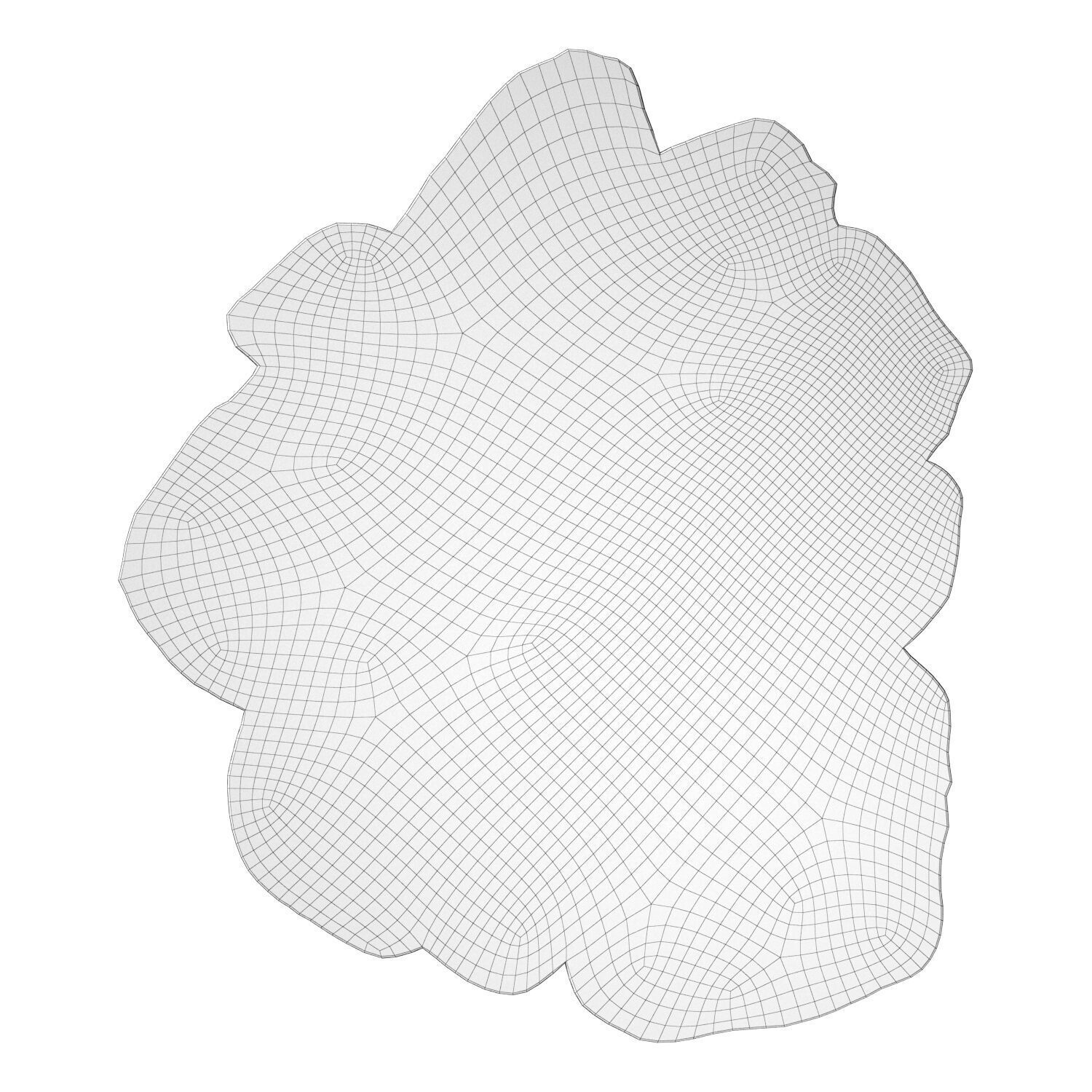 Apricot Caliedo Rug 3D model_3