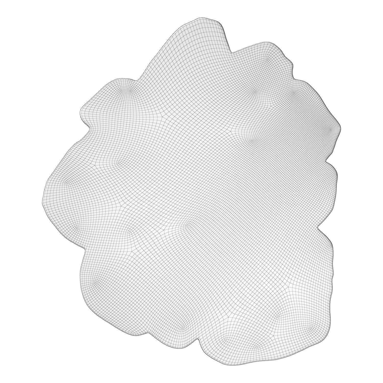 Apricot Caliedo Rug 3D model_4