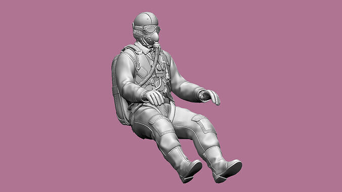 French Pilot 3D print model