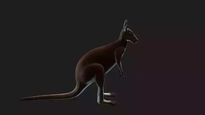 Kangaroo Low Ploy 3d Model Free Download