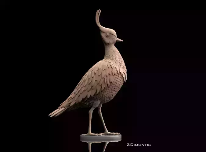 Lapwing Bird 3D print model