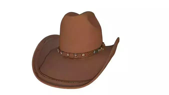 Cowboy Hat