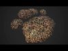 Cat Litter Pile Farm Landscape Pet Toilet Low-poly 3D model_1