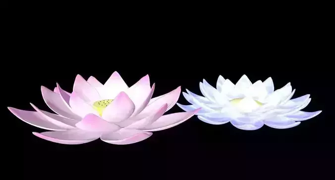 Lotus c4d fbx obj FREE Free 3D model