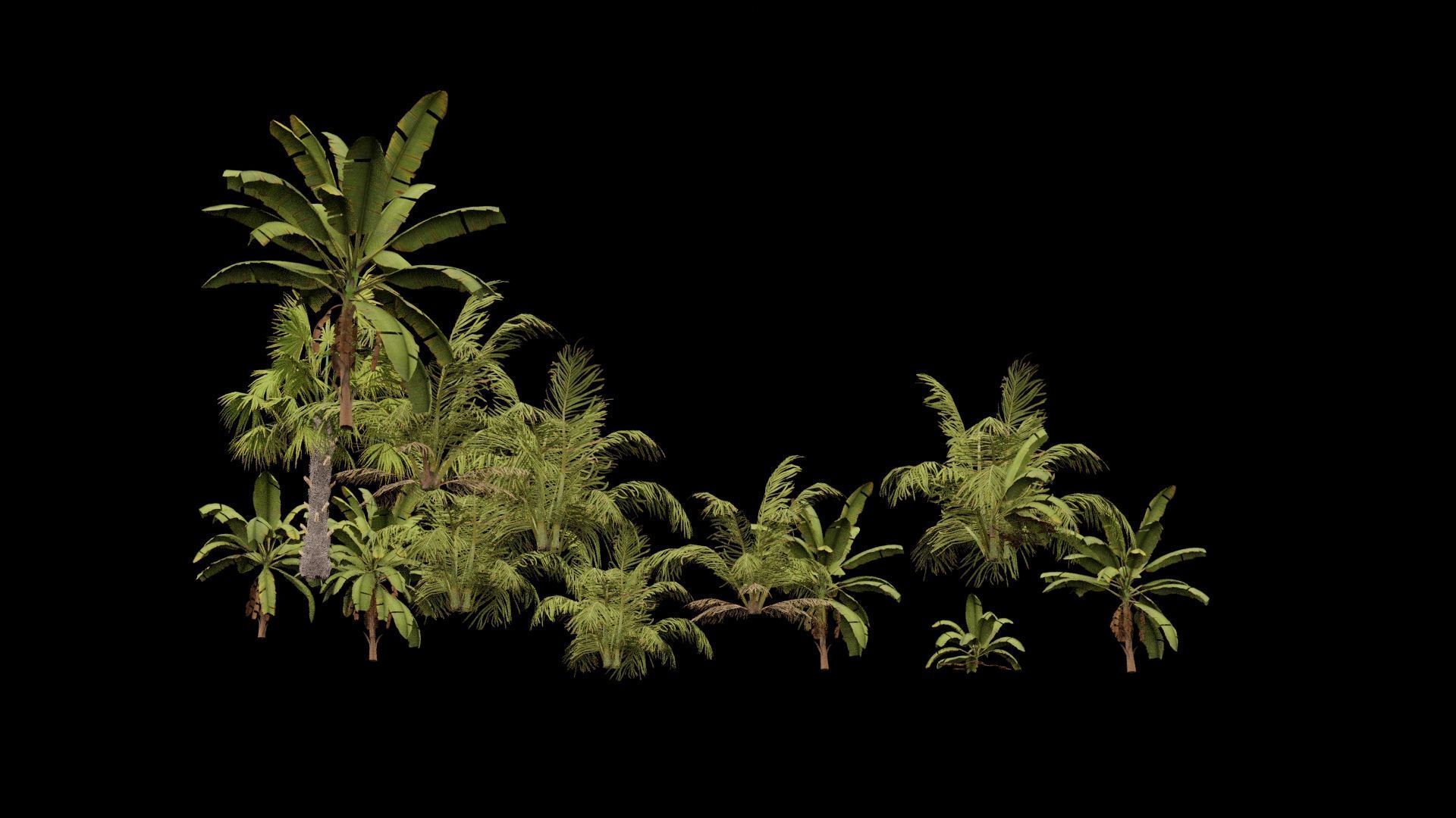 Beach Shrubs Plants Pack Low-poly 3D model_5