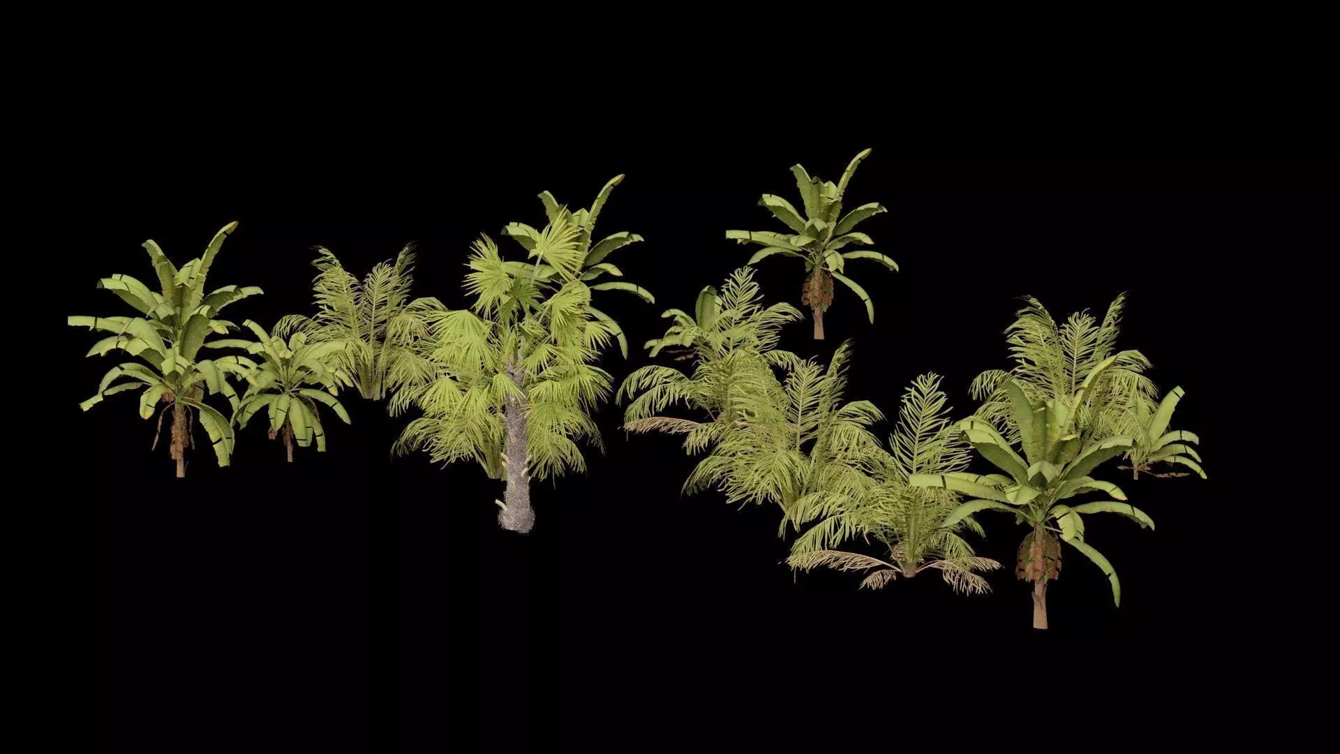 Beach Shrubs Plants Pack Low-poly 3D model_0