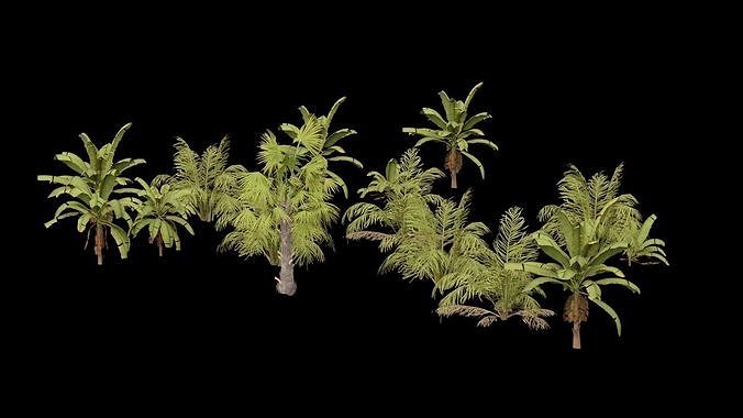 Beach Shrubs Plants Low-poly 3D model