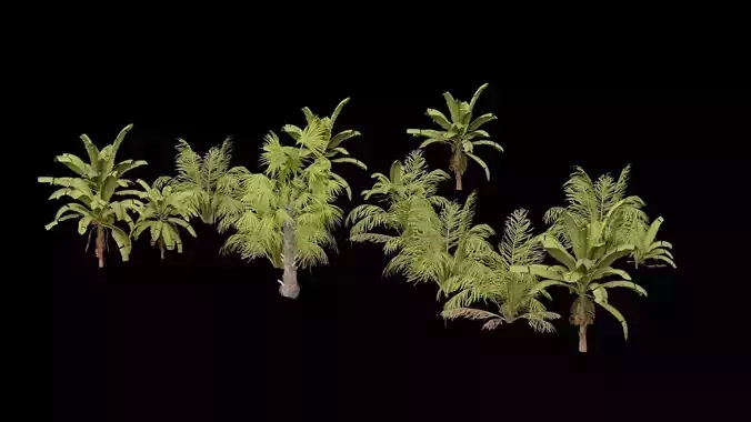 Beach Shrubs Plants Pack Low-poly 3D model