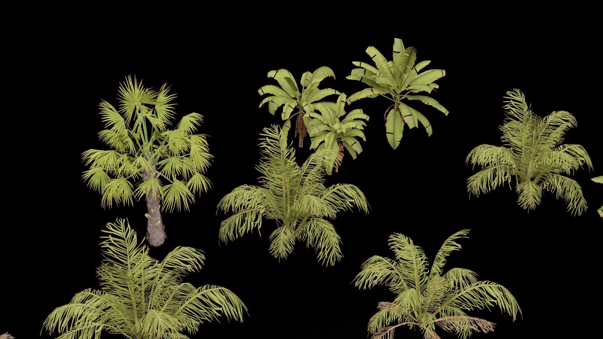 Beach Shrubs Plants Pack Low-poly 3D model_7