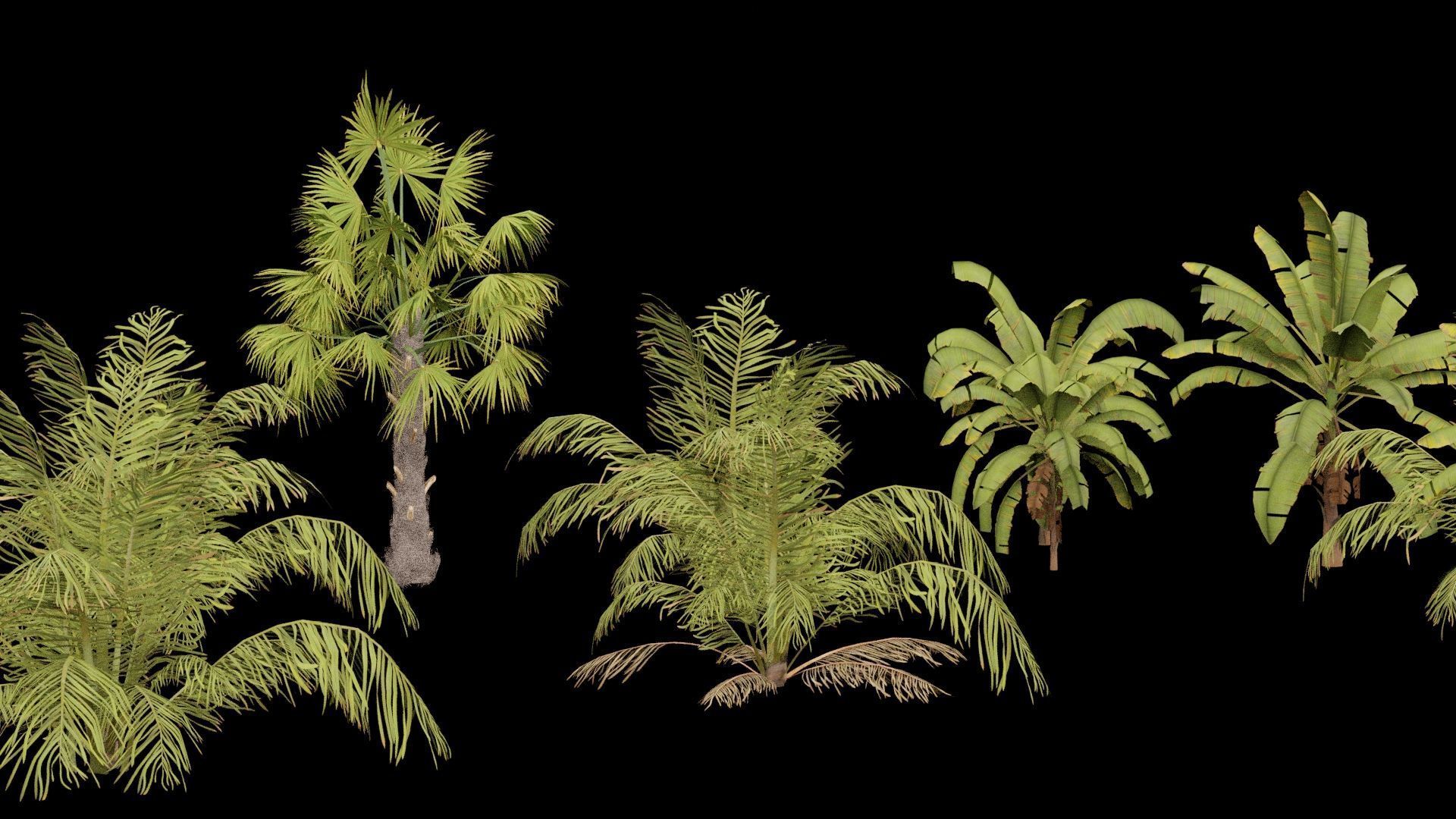 Beach Shrubs Plants Pack Low-poly 3D model_4