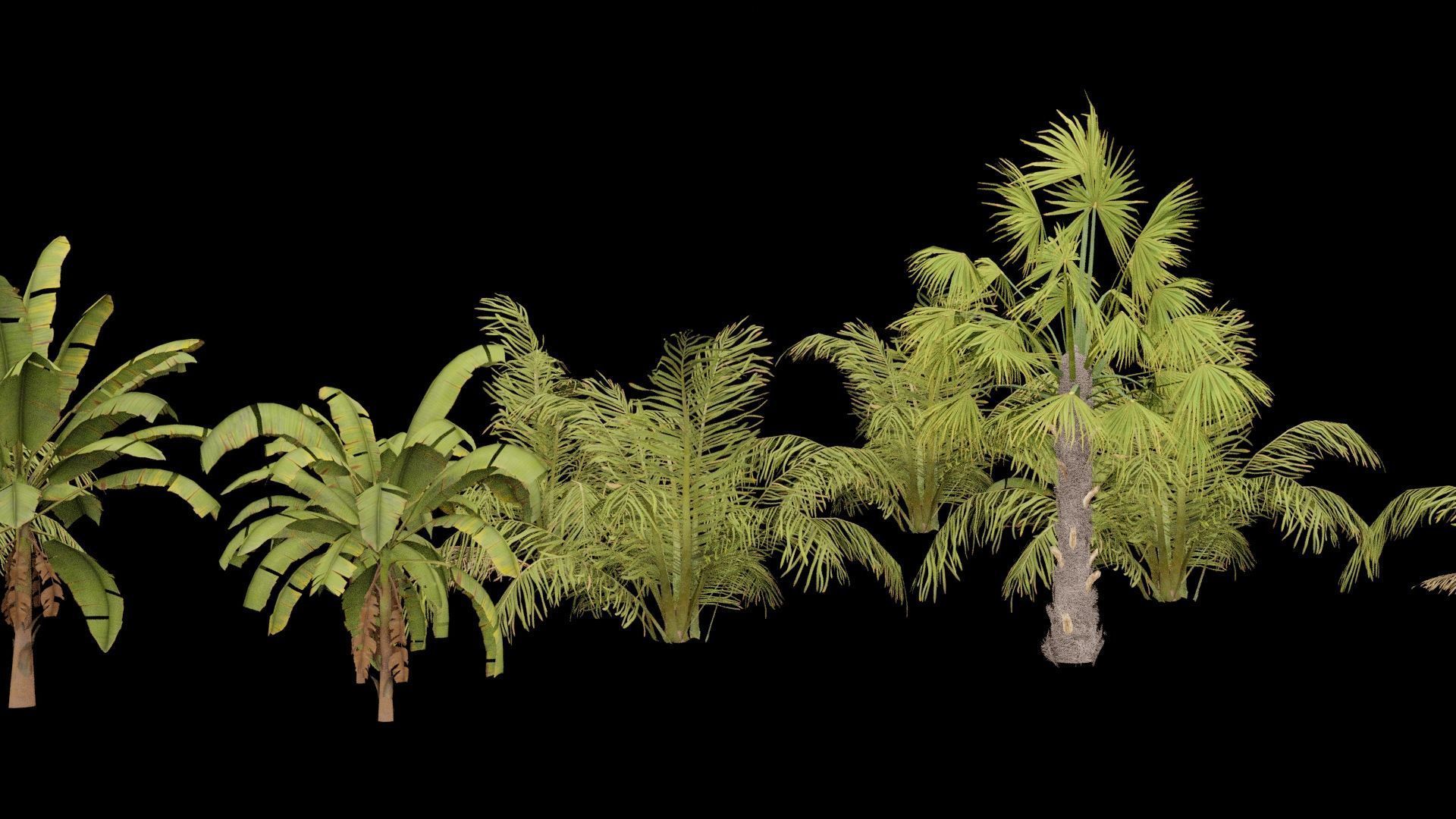 Beach Shrubs Plants Pack Low-poly 3D model_3