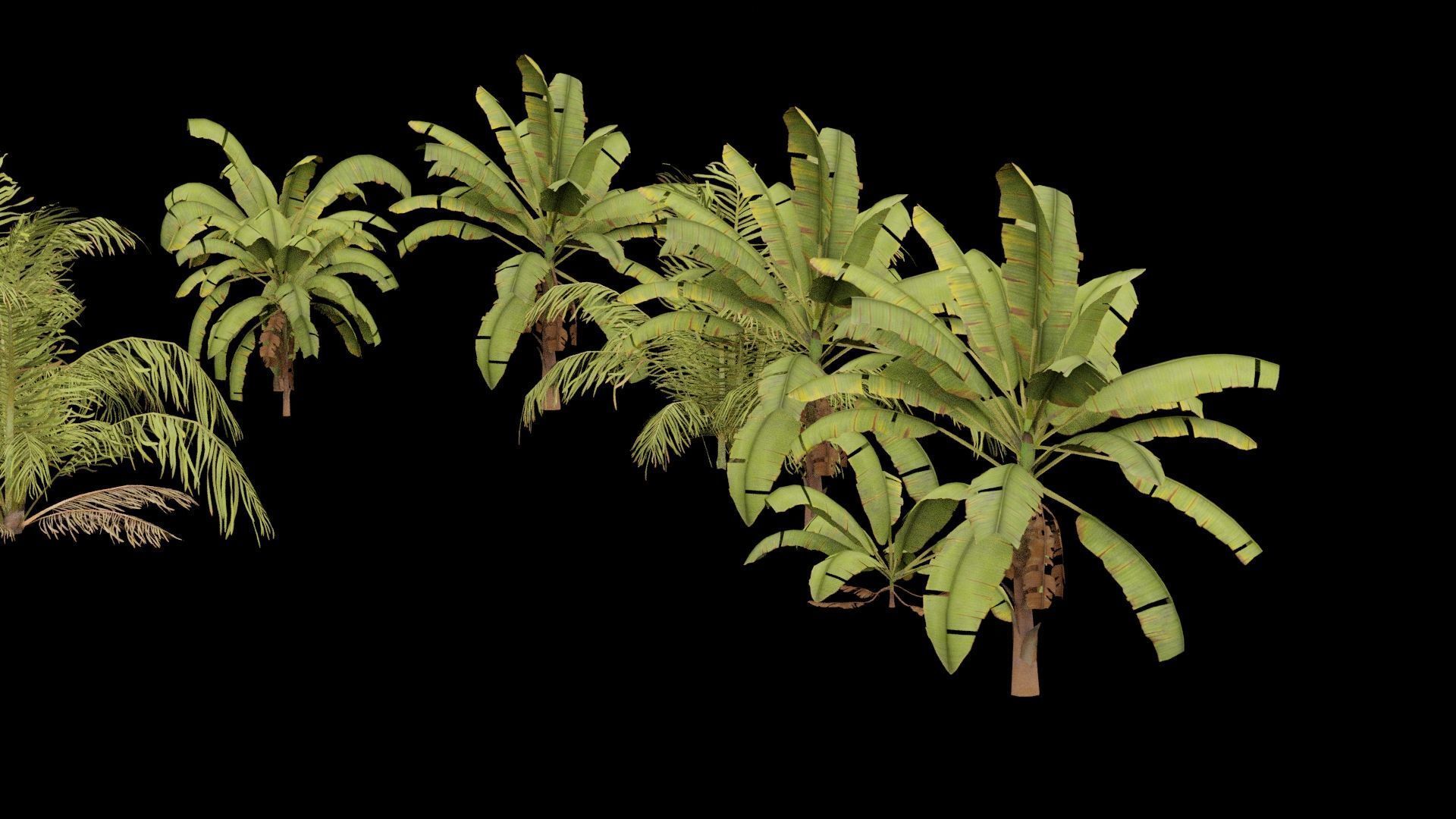 Beach Shrubs Plants Pack Low-poly 3D model_2