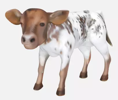Calf Miniature 3D print model