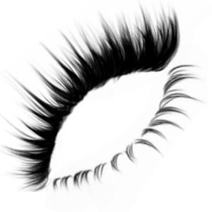 Zepeto eyelashes files - 10 eyelashes  3D model
