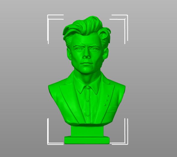 Harry Styles 3D print model_17