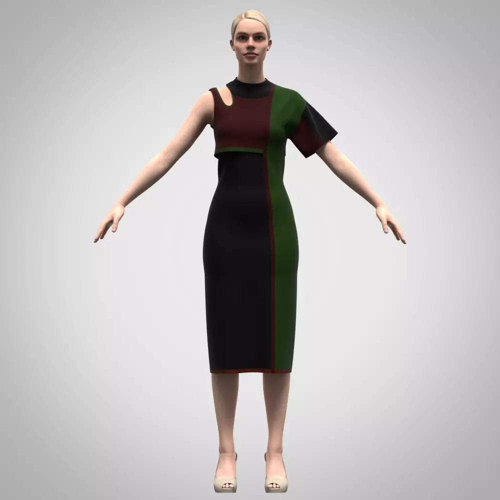 woman dress rigged model  3D model_0