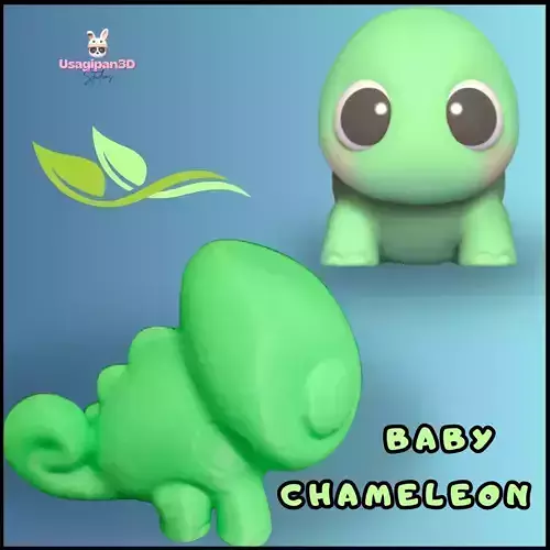 Baby Chameleon