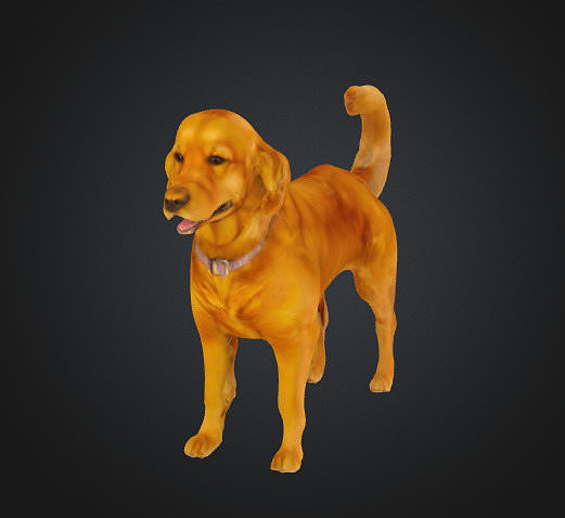 Golden Retriever Dog Low-poly 3D model