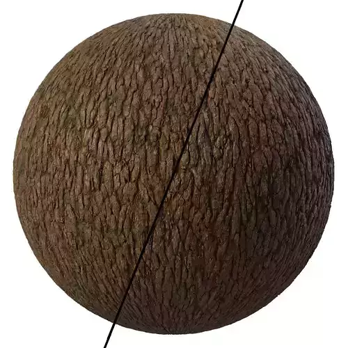 Bark Materials 03- Seamless PBR 4k Texture
