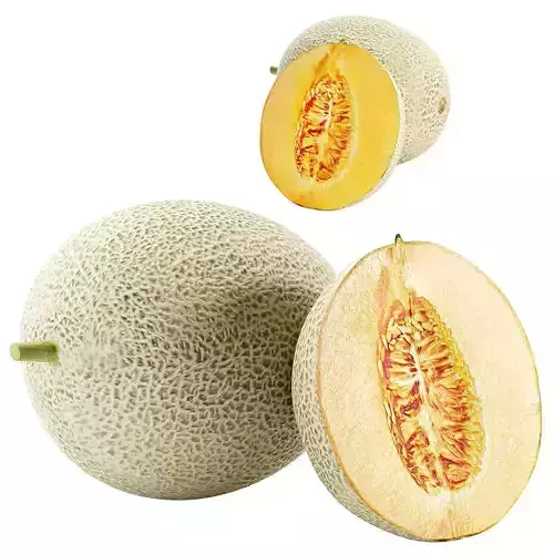 melon fruite