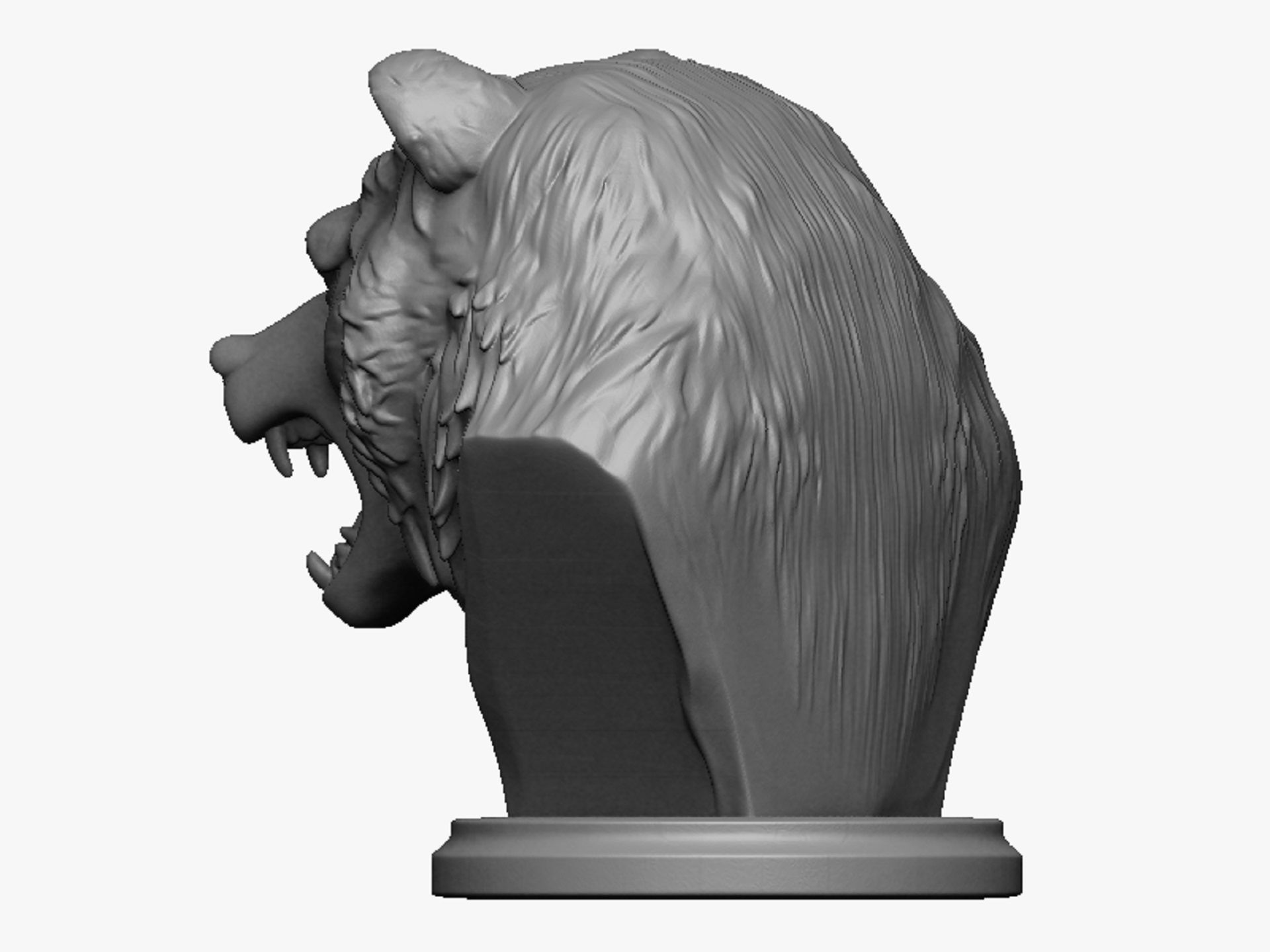 bear head bust 3D print model_4