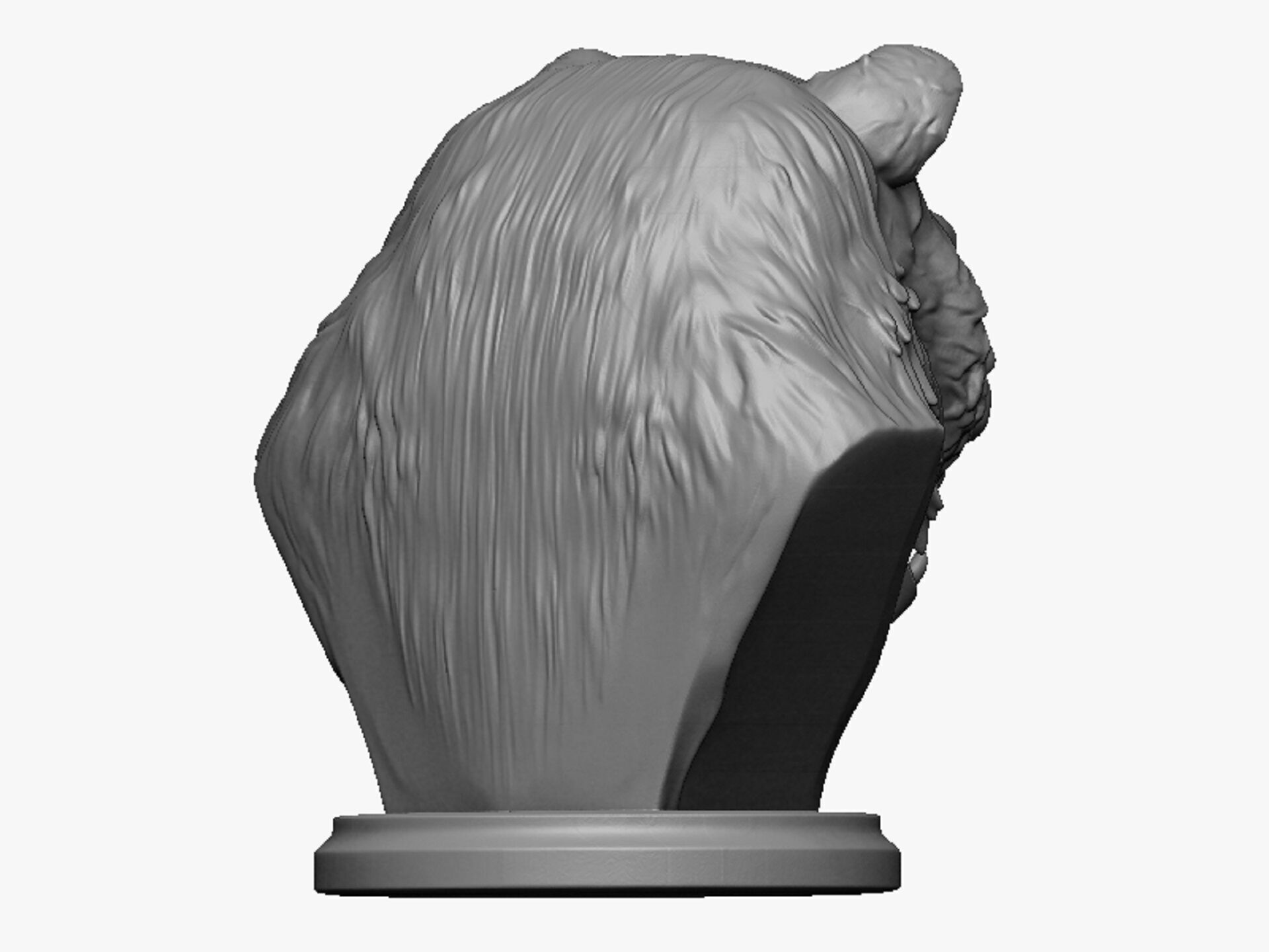 bear head bust 3D print model_3