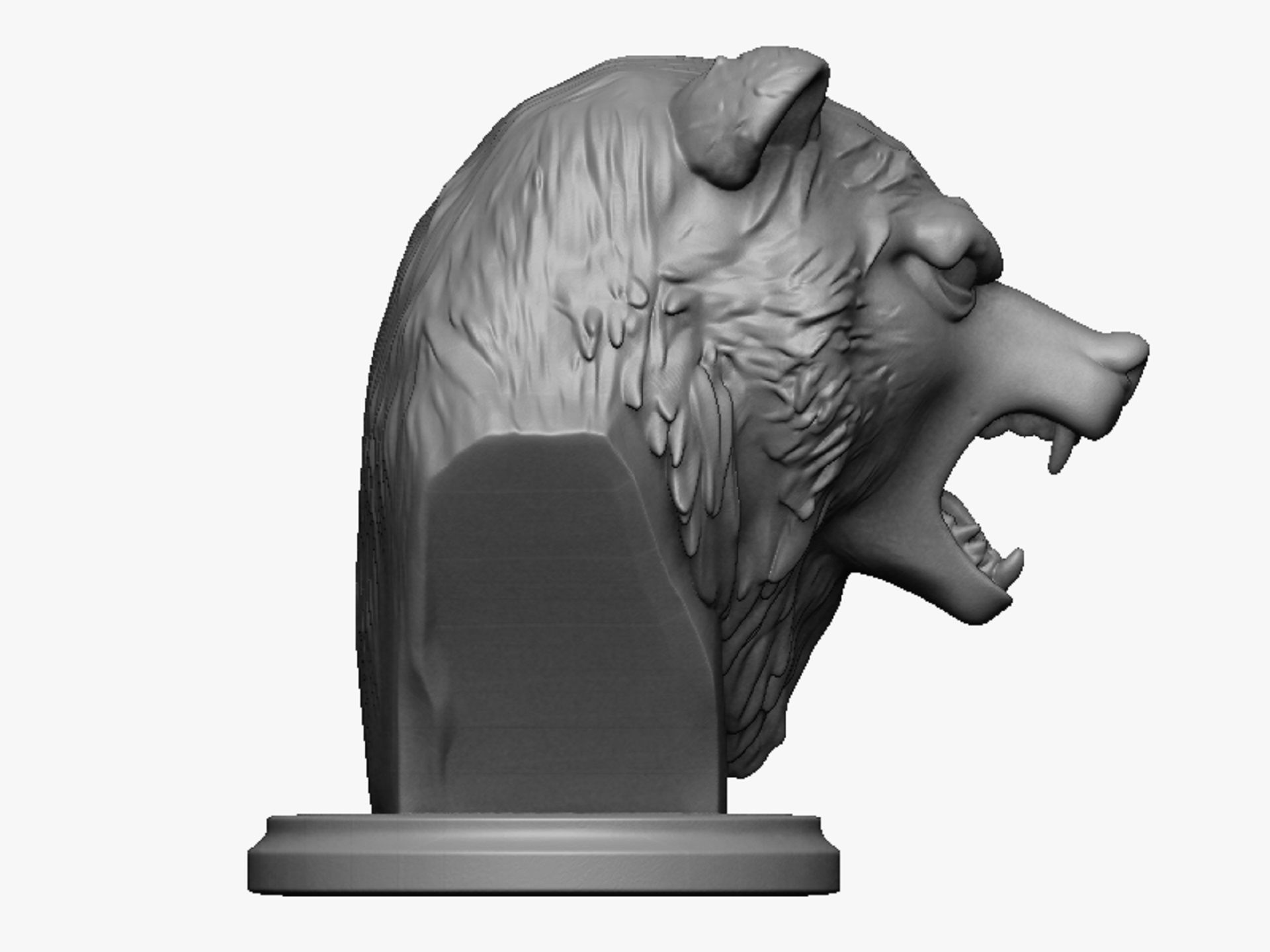 bear head bust 3D print model_2
