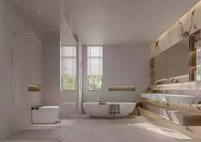 modern dressing and bathroom