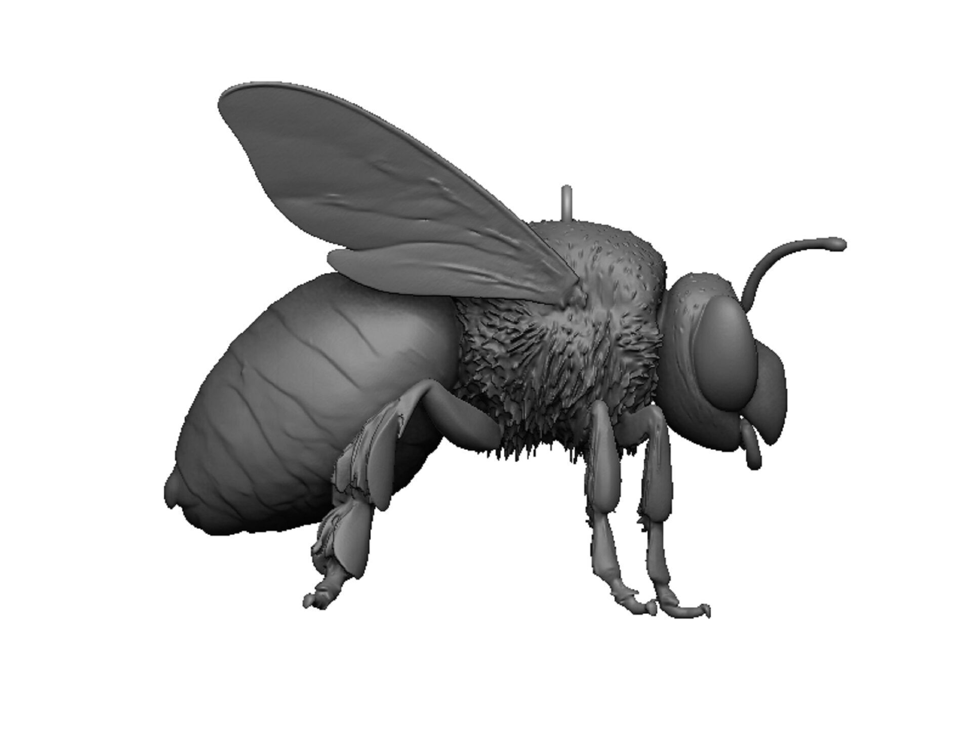 bee pendant 3D print model_2
