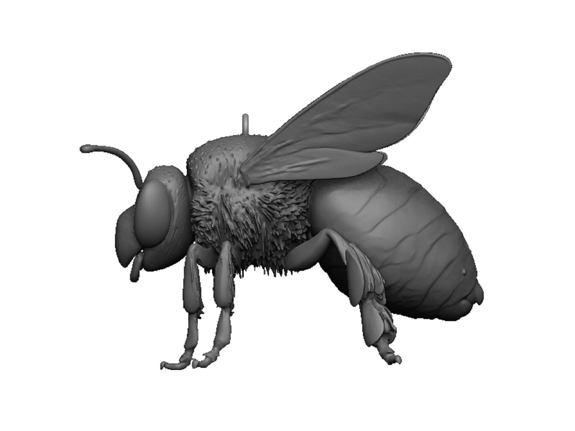 bee pendant 3D print model_4