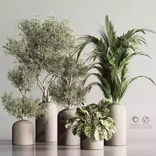 Indoor Plant Set 103