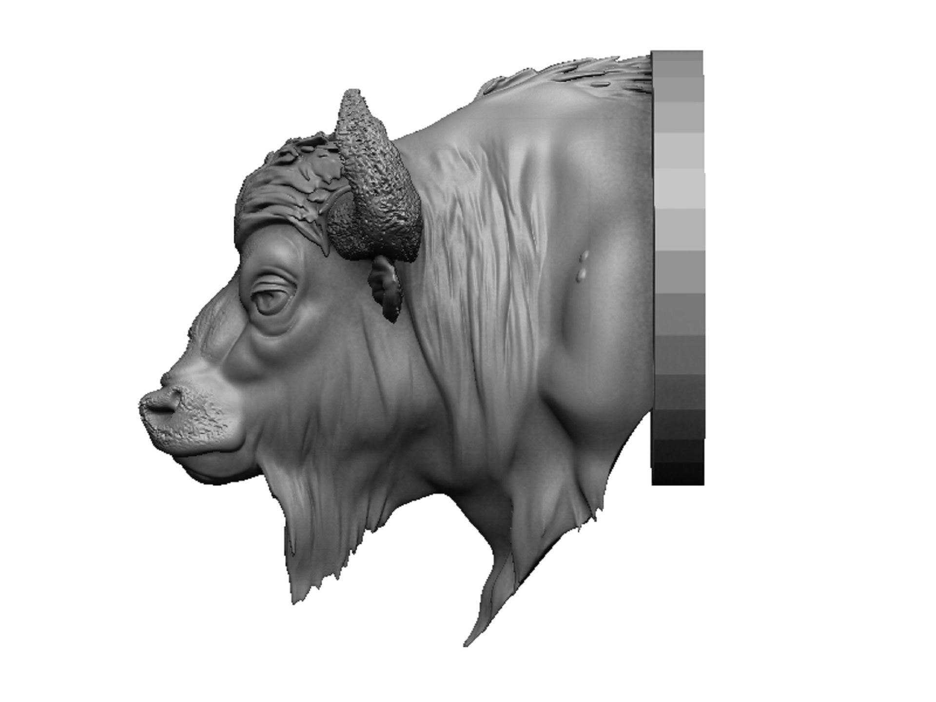 bison head 3D print model_4